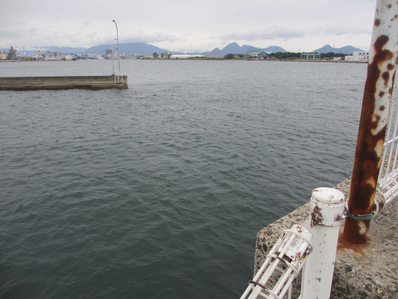 香川県,海釣り,ポイント,まるがめボート